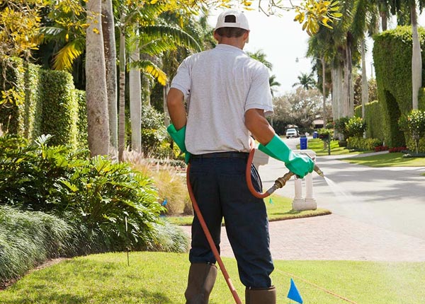 About Hancock WI Pest Control